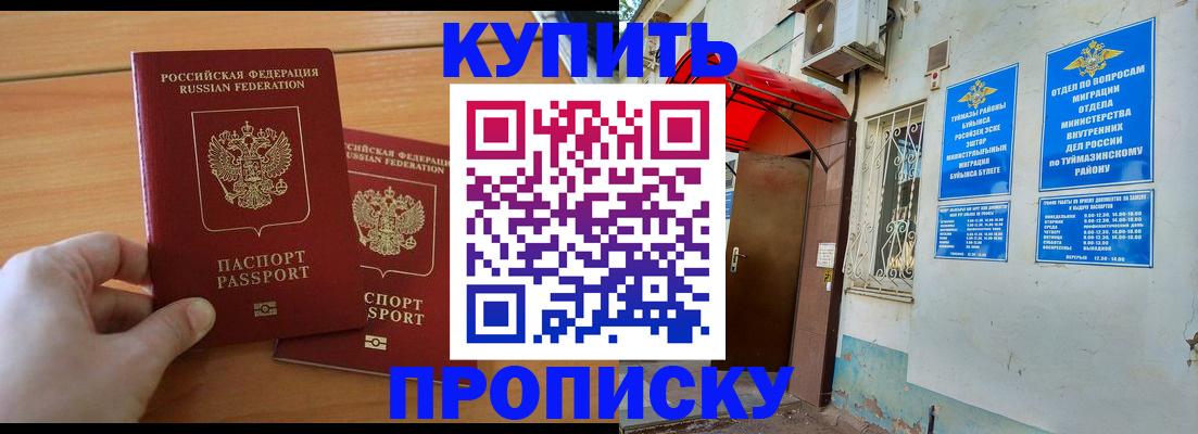 прописка штамп в Лузе